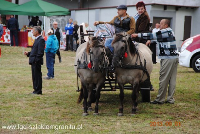 Dożynki Dobromierz 2013