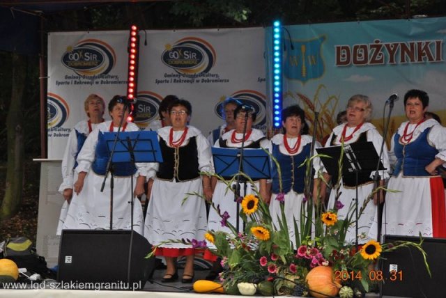 Dożynki Dobromierz 2014