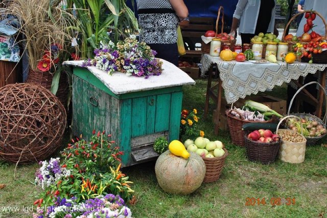 Dożynki Krzyżowa 2014