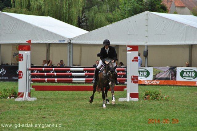 Horse Trials Strzegom