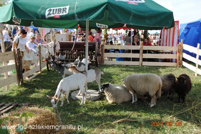 Dożynki Lutomia 2013