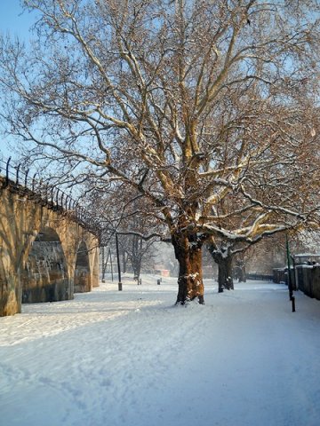 Strzegom w obiektywie