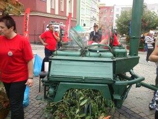 Dożynki Gminne w Strzegomiu 2014