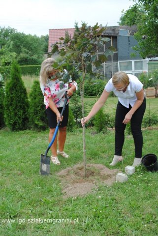 Walne Zebranie Członków Stowarzyszenia LGD "Szlakiem Granitu"