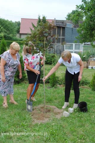 Walne Zebranie Członków Stowarzyszenia LGD "Szlakiem Granitu"